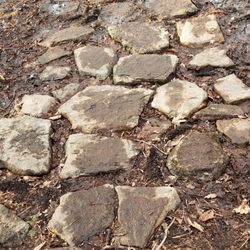 Dismal Brook Wildlife Preserve - Fieldstones to get you through the wetlands