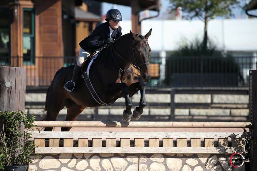 HORSE SHOW LEASES CLOSED Updated May 2024 9510 Richardson King Rd, Waxhaw, North Carolina