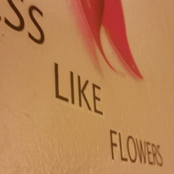 Hollister Inn - peeling.. like flowers... that are DYING. - Hotels Near Me - Hollister, California Hollister Inn - peeling.. like flowers... that are DYING. - Hotels Near Me - Hollister, California