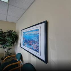 Bay Cities Chiropractic-Steven Brodbeck DC