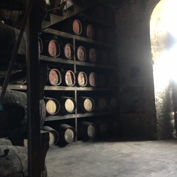Tuscany Bike Tours - Tours Near Me - Florence, FI