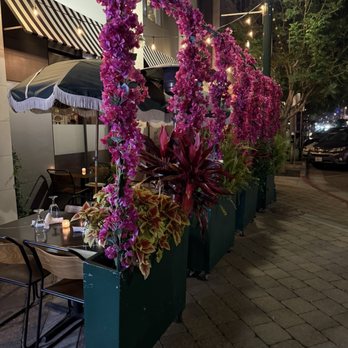 Roman Wolves - Patio area - Italian Near Me - San Diego, California Roman Wolves - Patio area - Italian Near Me - San Diego, California