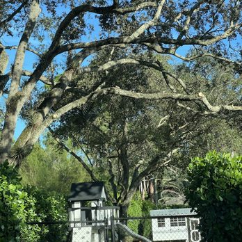 All Brothers Tree Service - Tree Services Near Me - Lake Worth, Florida