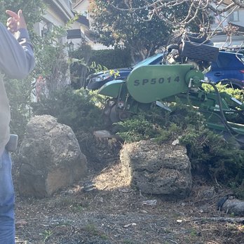 Green Sierra Landscaping - Tricky accessing the stump but they did it - Tree Services Near Me - San Jose, California