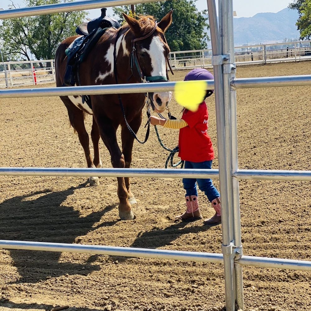 Gracie is so patient with my daughter.