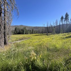 Drakesbad Guest Ranch - Gorgeous meadow.