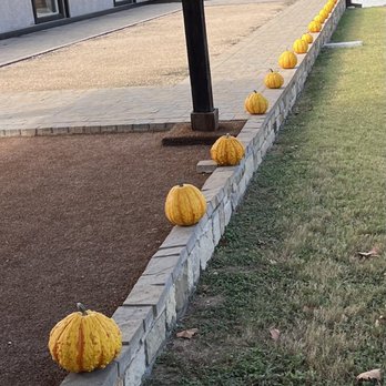 Flat Creek Estate Winery & Vineyard - Pumpkins and gourds galore - Wineries Near Me - Marble Falls, Texas Flat Creek Estate Winery & Vineyard - Pumpkins and gourds galore - Wineries Near Me - Marble Falls, Texas