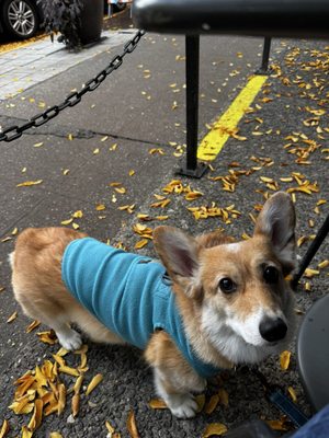 Monsoon Seattle by null Monsoon Seattle by null