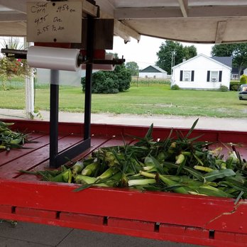 Boykas - Still lots of corn,  3rd picking. I bought 6 White =$2.55 huge I'll post a photo later - Fruits & Veggies Near Me - Macomb, Michigan