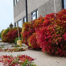 S&S Lawn Care Service Snow - Landscaping