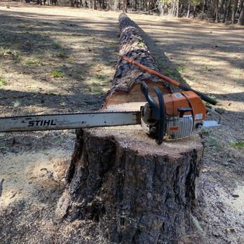 From The Roots Up - a chainsaw on a tree stump - Tree Services Near Me From The Roots Up - a chainsaw on a tree stump - Tree Services Near Me