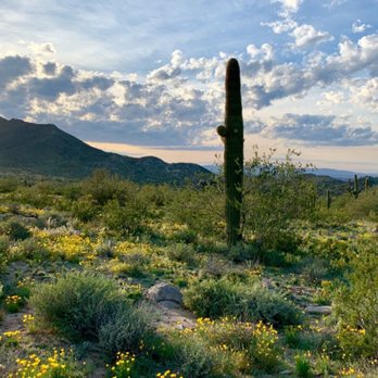 South Mountain Park - Parks Near Me - Phoenix, Arizona South Mountain Park - Parks Near Me - Phoenix, Arizona