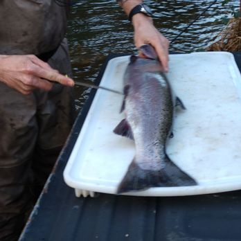 Jeremy Gravon's Guide Service - Filleting time - Boat Charters Near Me