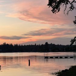 Lake of the Pines
