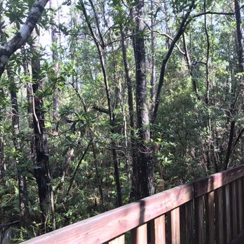Tibet-Butler Preserve - Parks Near Me - Orlando, Florida Tibet-Butler Preserve - Parks Near Me - Orlando, Florida