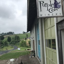 Purple Cow Winery - Farm