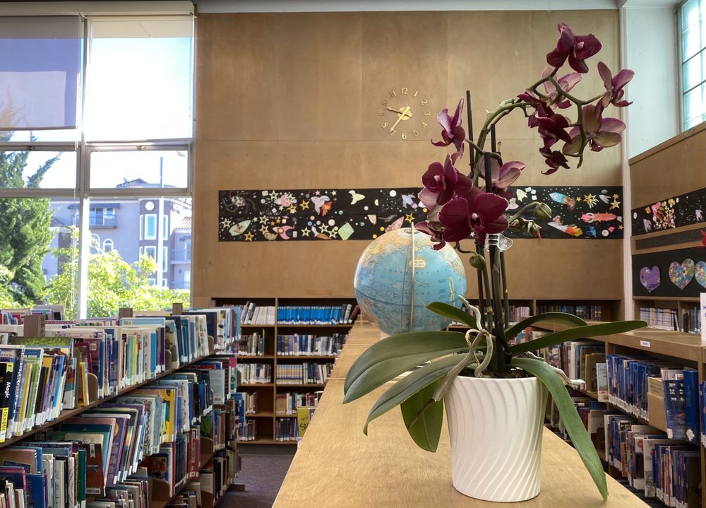 SAN BRUNO PUBLIC LIBRARY 59 Photos & 29 Reviews 701 Angus Ave W