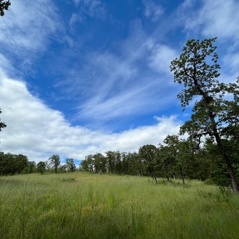 Cooper Mountain Nature Park - Parks Near Me - Beaverton, Oregon