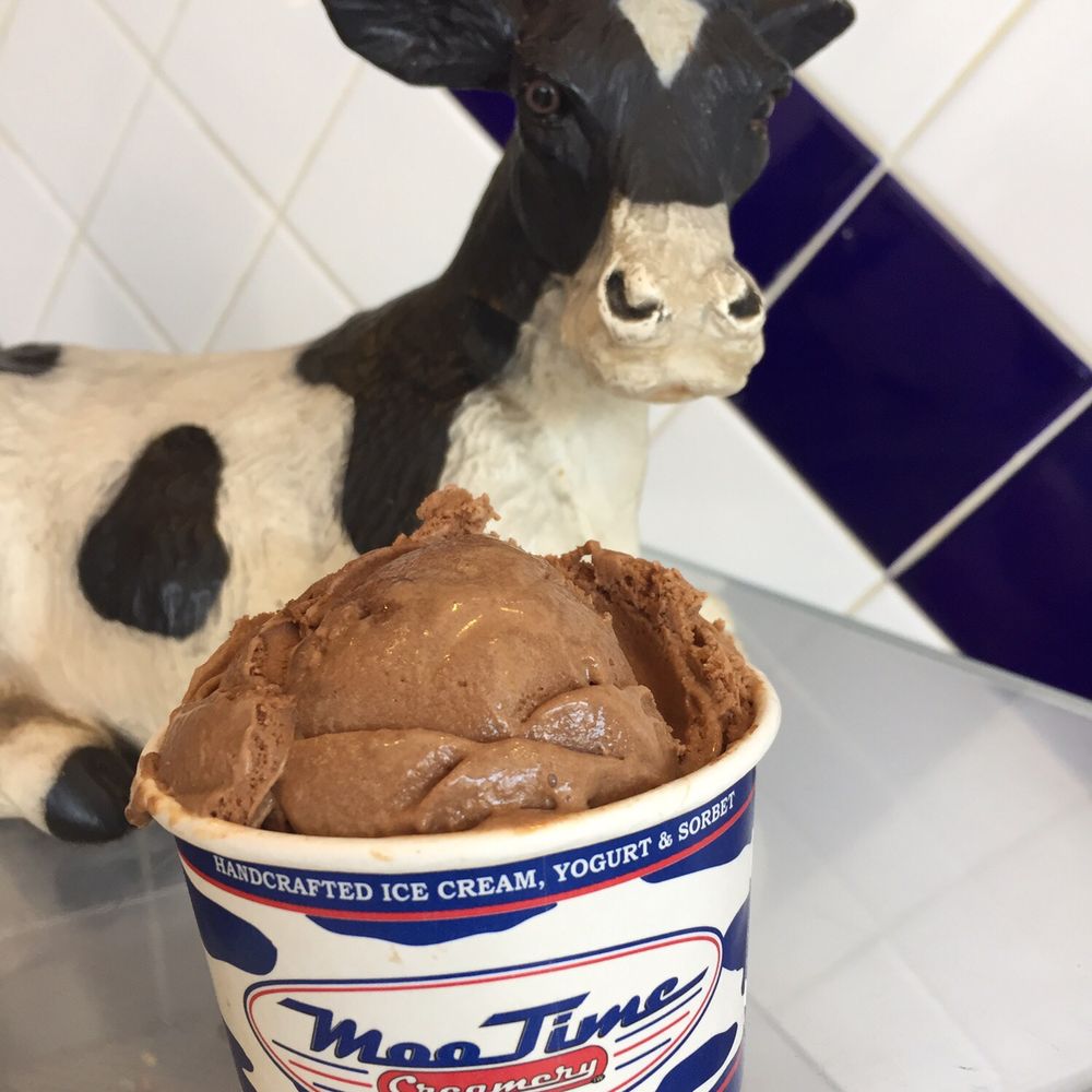 MooTime Creamery - One scoop of mocha flavor ice cream with cow! - Ice Cream & Frozen Yogurt Near Me - Coronado, California MooTime Creamery - One scoop of mocha flavor ice cream with cow! - Ice Cream & Frozen Yogurt Near Me - Coronado, California