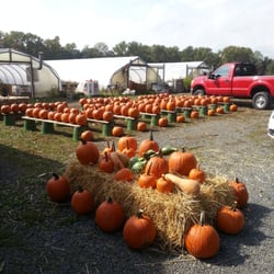 Union Hill Farms - Pumpkins are here!
