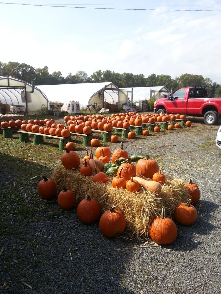 UNION HILL FARMS Updated October 2024 25 Cooper Rd, Denville, New