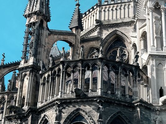 Cathedral of Notre-Dame of Reims by null