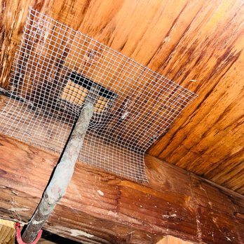 Attic Repair Guys - Rodent proofing crawlspace - Insulation Installation Near Me - Fremont, California Attic Repair Guys - Rodent proofing crawlspace - Insulation Installation Near Me - Fremont, California