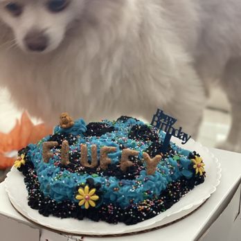 PJ's Pet Cafe - Pet Stores Near Me - Long Beach, California PJ's Pet Cafe - Pet Stores Near Me - Long Beach, California