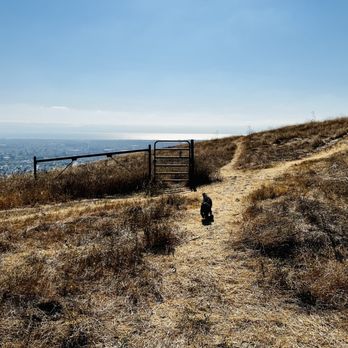 Fairmont Ridge Staging Area - Lots of off leash dog area to enjoy the hill. - Parks Near Me - Castro Valley, California Fairmont Ridge Staging Area - Lots of off leash dog area to enjoy the hill. - Parks Near Me - Castro Valley, California