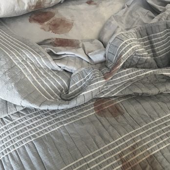 Chassy’s Classy Canines - the blood bath i awoke to this morning - Pet Groomers Near Me - Gilbert, Arizona