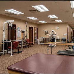 WESTARM Physical Therapy - Cheswick