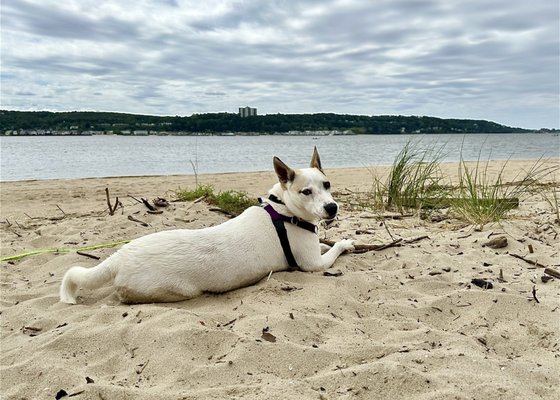 Sandy Hook – Gateway National Recreation Area by null