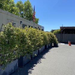 US Post Office