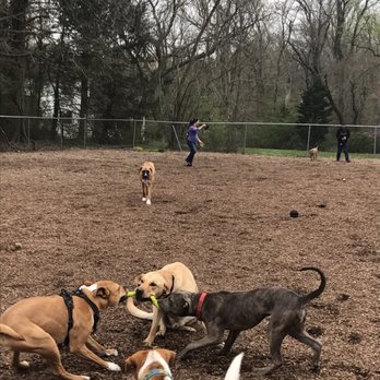 Talley Day Bark Park - Dog Parks Near Me - Wilmington, Delaware Talley Day Bark Park - Dog Parks Near Me - Wilmington, Delaware