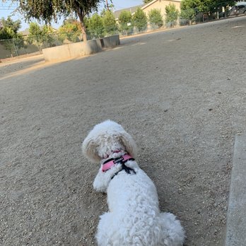 Flora Vista Dog Park - Dog Parks Near Me - Bellflower, California Flora Vista Dog Park - Dog Parks Near Me - Bellflower, California