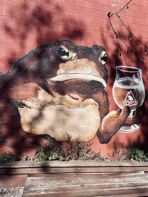 Mountain Toad Brewing by null