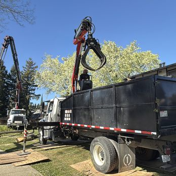 Evergreen Tree Care - Tree Services Near Me - Pittsburg, California Evergreen Tree Care - Tree Services Near Me - Pittsburg, California