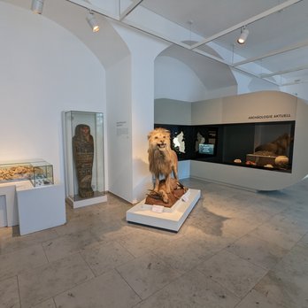 Rheinisches Landesmuseum - Museums Near Me - Trier, RP