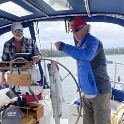 Sound Sailing - King salmon
