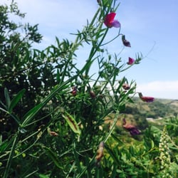 Agriturismo Le Chiuse di Carlentini