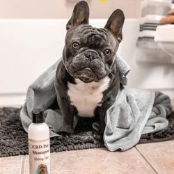 Simple Pure CBD - No more itches or allergies with our calming CBD pet shampoo