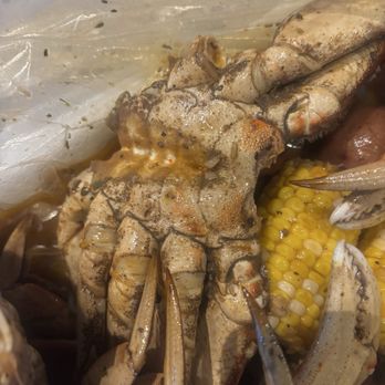 Ocean 9 Crab - Unwashed crab with dirt all over it. Absolutely unacceptable. - Seafood Near Me - Antioch, California Ocean 9 Crab - Unwashed crab with dirt all over it. Absolutely unacceptable. - Seafood Near Me - Antioch, California