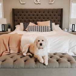 Direct Mattress and Furniture - My bedroom looks adorable, Sugar and I love it!! I've finally found my place to furnish my apartment!