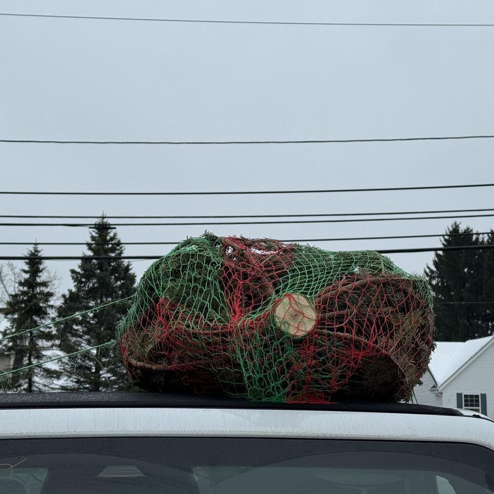 Bayside Garden Center - Last minute Christmas tree shopping - Nurseries & Gardening Near Me - Bayside, Wisconsin Bayside Garden Center - Last minute Christmas tree shopping - Nurseries & Gardening Near Me - Bayside, Wisconsin