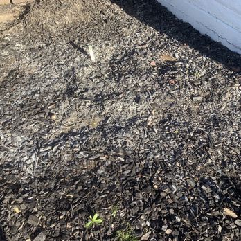 Hartt's Pool Plastering - Dump water in bark. - Pool & Hot Tub Service Near Me - Turlock, California