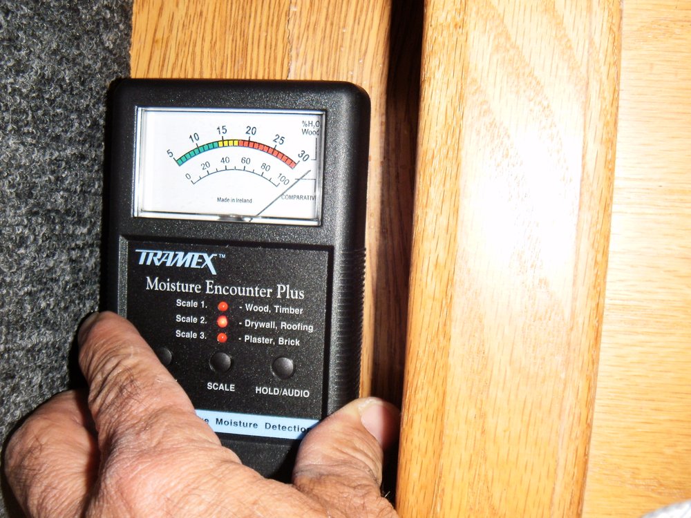 PAT’S CUSTOM CARPET & UPHOLSTERY CARE Updated August 2024 39 Photos