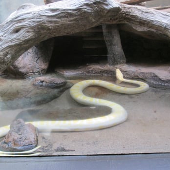Honolulu Zoo - Zoos Near Me - Honolulu, Hawaii