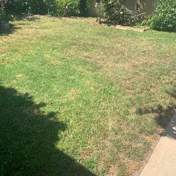 The Pooper Remover - No yard too big or too small for our poop scoop. - Pet Waste Removal Near Me The Pooper Remover - No yard too big or too small for our poop scoop. - Pet Waste Removal Near Me