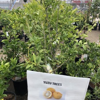 Walter Andersen Nursery - Nurseries & Gardening Near Me - Poway, California