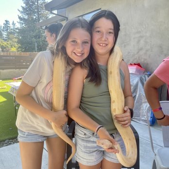 For Goodness Snakes - Performing Arts Near Me For Goodness Snakes - Performing Arts Near Me